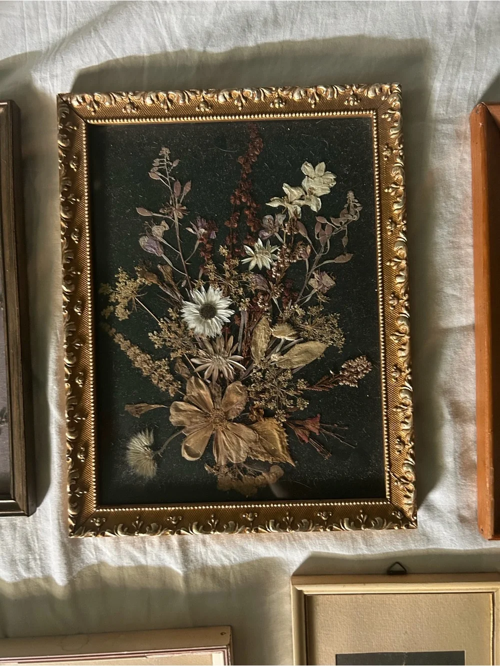 Vintage Framed Dried Floral Wall Art Collqge